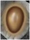 eg